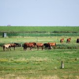 Foto langeoogbilder-005
