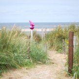 Foto langeoogbilder-008
